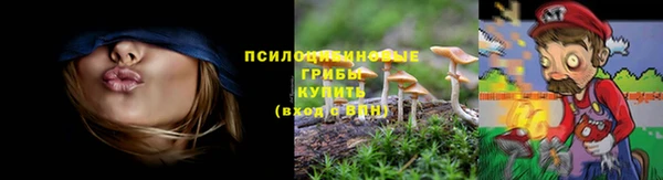 мескалин Алексин