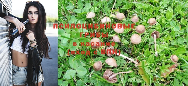 бутират Алексеевка
